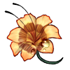 Soft Honey Flower